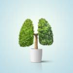 Lung Cleanse: How to Restore Your Lungs Once You Quit Smoking